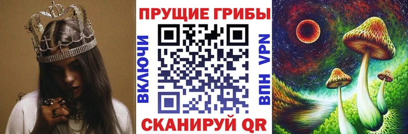 Псилоцибиновые грибы Magic Shrooms  ссылка на мегу ONION  Кострома 