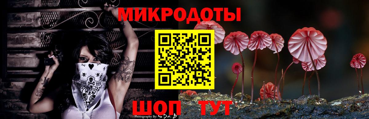 Галлюциногенные грибы прущие грибы  Вход с VPN  Кострома 
