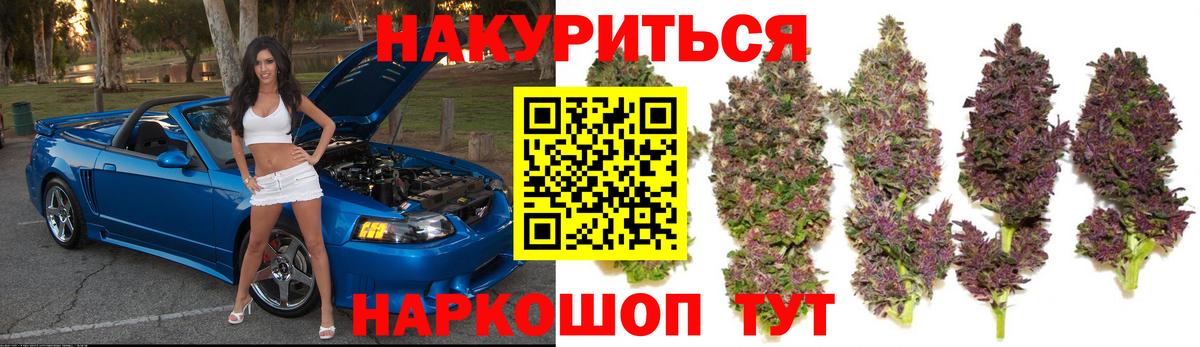 Конопля гибрид Кострома